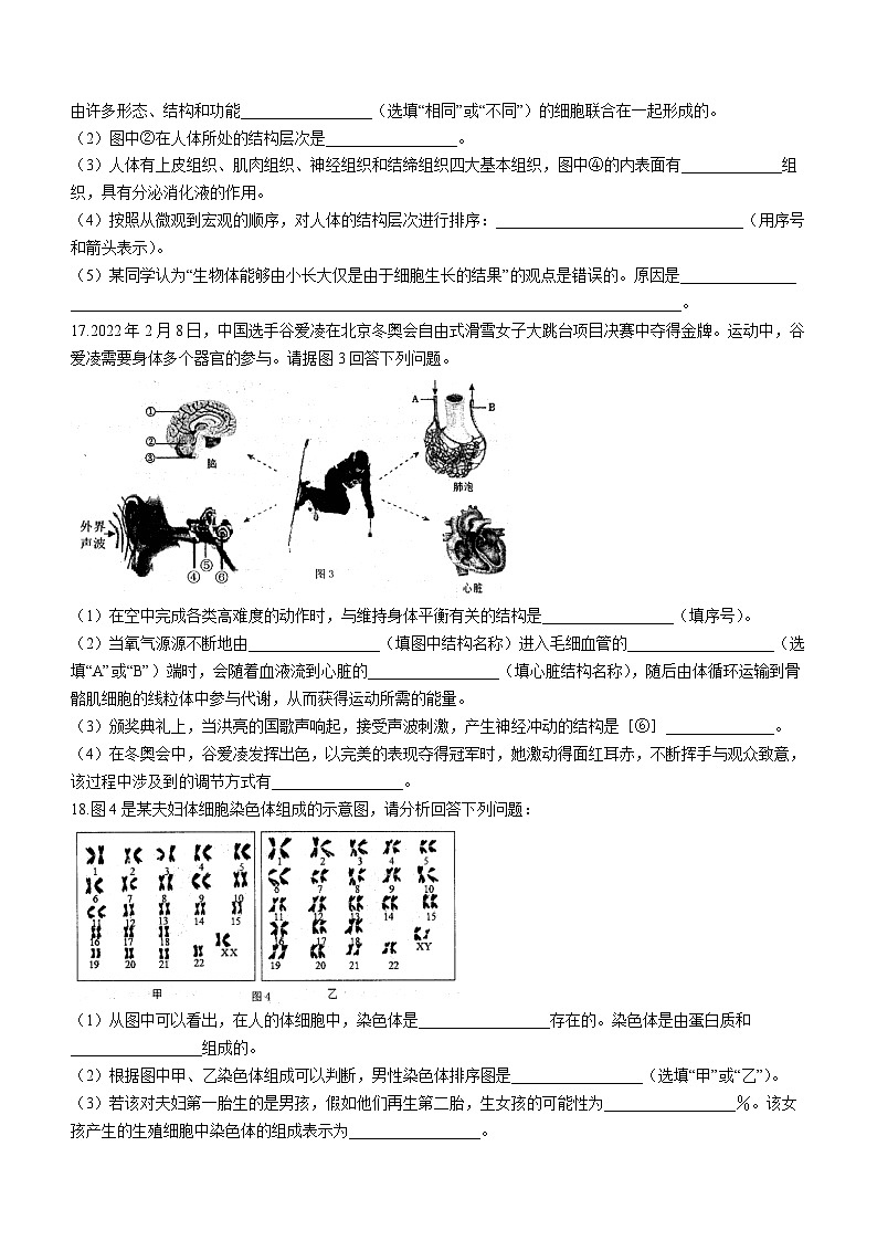 2023年广西防城港市防城区初中学业水平考试适应性模拟生物试题(三)(含答案)03