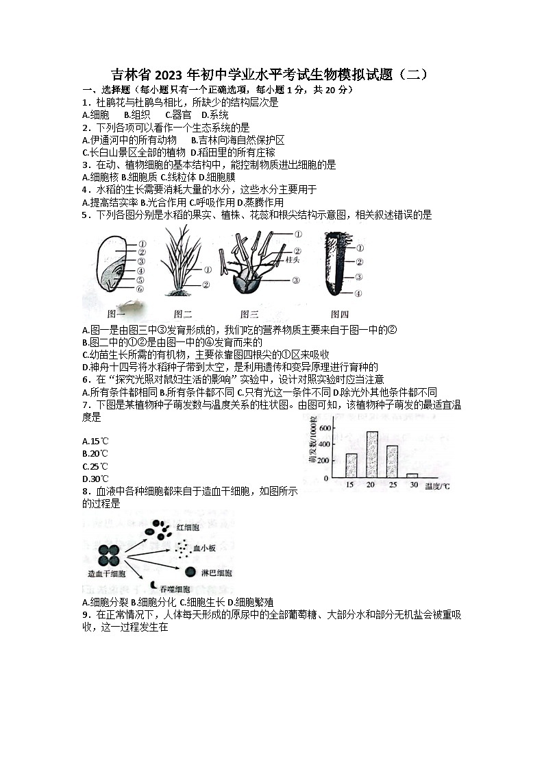 2023年吉林省松原市宁江一中、宁江五中等校中考二模联考生物试题01