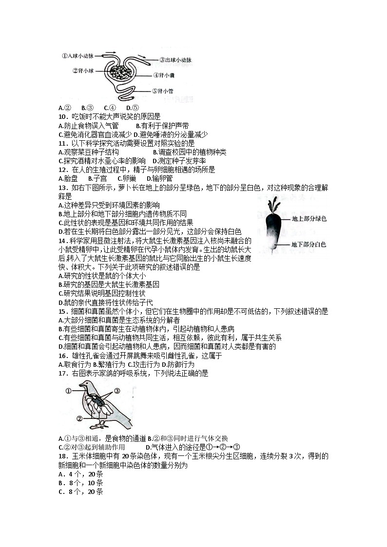 2023年吉林省松原市宁江一中、宁江五中等校中考二模联考生物试题02