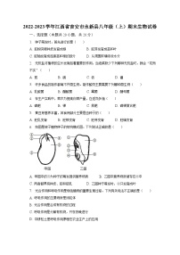 2022-2023学年江西省吉安市永新县八年级（上）期末生物试卷（含解析)