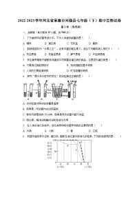 2022-2023学年河北省承德市兴隆县七年级（下）期中生物试卷（含解析)