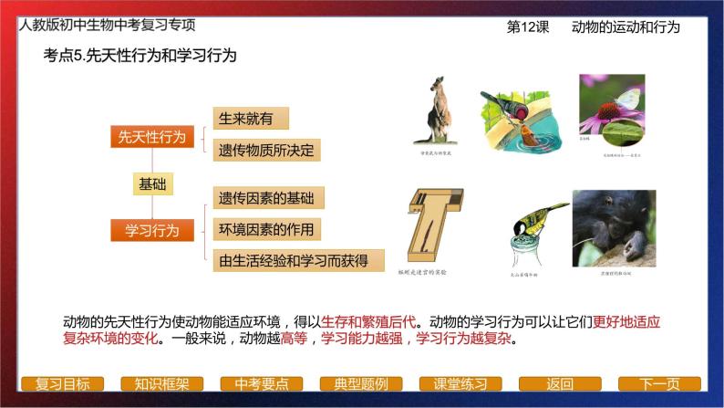 专题12生物圈中的其他生物（动物的行为）课件PPT08