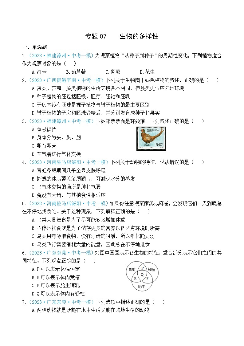 专题07 生物的多样性(原卷版)第1页