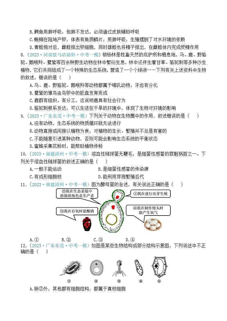 专题07 生物的多样性(原卷版)第2页