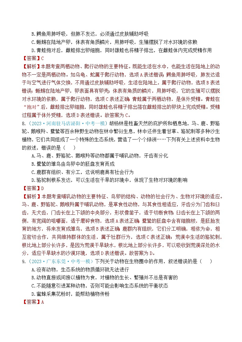 专题07 生物的多样性(解析版)第3页