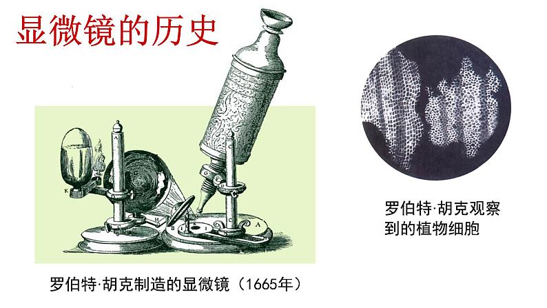 2.1.1练习使用显微镜课件PPT第3页