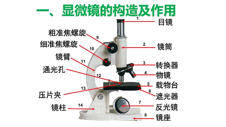 2.1.1练习使用显微镜课件PPT第4页