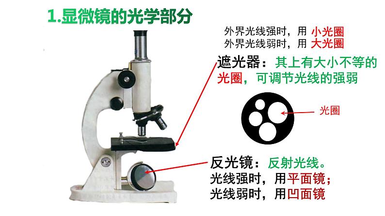 2.1.1练习使用显微镜课件PPT第6页