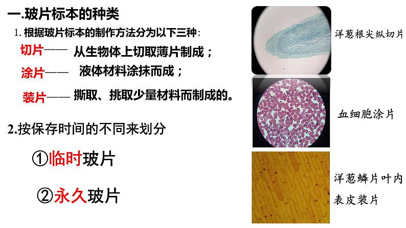 2.1.2 植物细胞课件PPT第4页