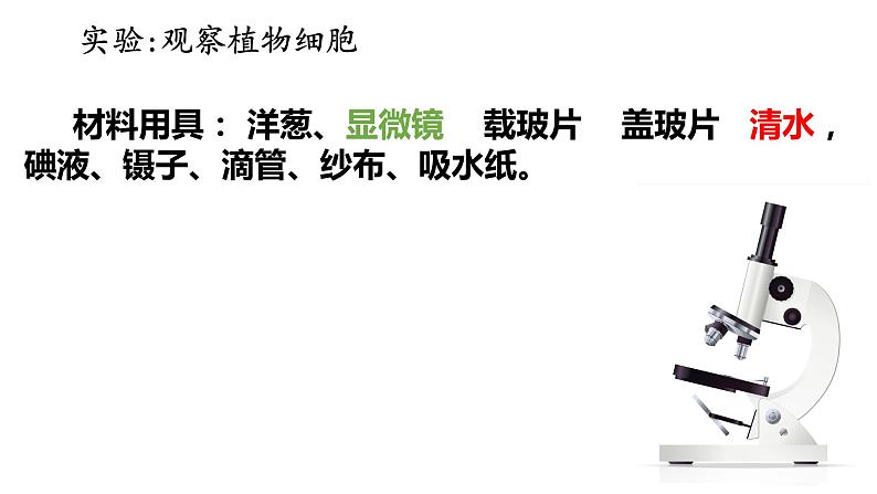 2.1.2 植物细胞课件PPT第5页