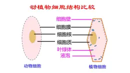 2.1.4  细胞的生活课件PPT