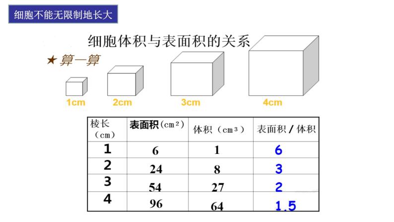 2.2.1 细胞通过分裂产生新细胞课件PPT08