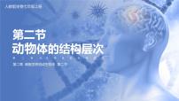 初中生物人教版 (新课标)七年级上册第二单元 生物体的结构层次第二章 细胞怎样构成生物体第二节 动物体的结构层次完整版课件ppt