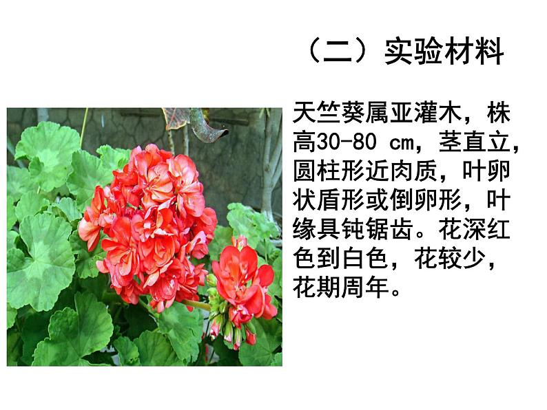 3.4绿色植物是生物圈中有机物的制造者课件PPT第5页