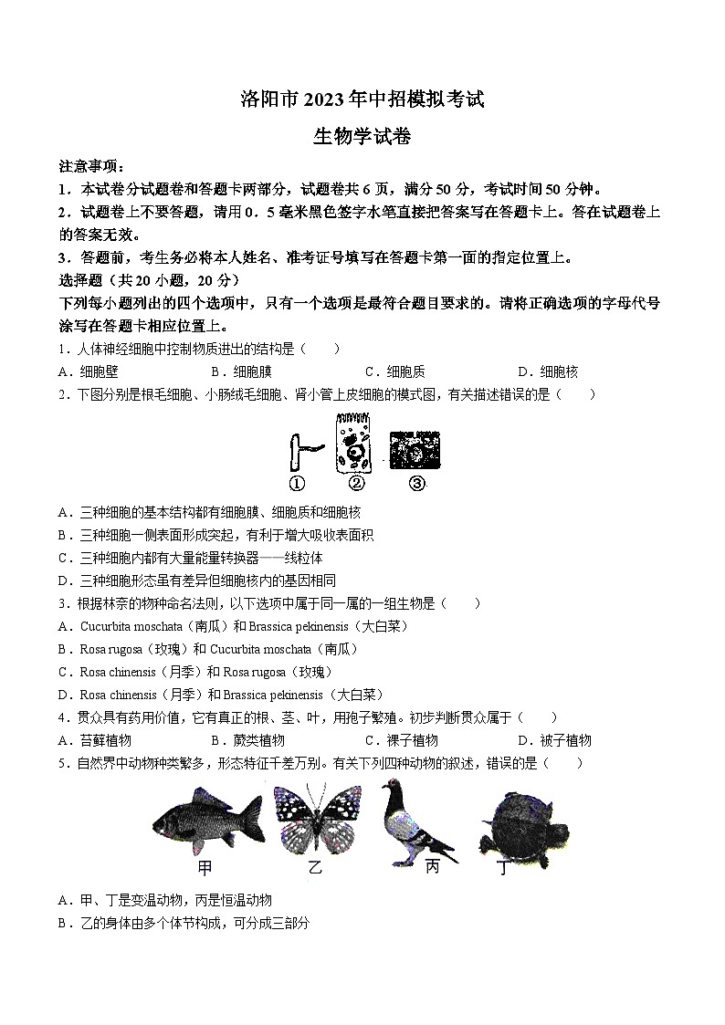 2023年河南省洛阳市中考二模生物试题(含答案)第1页