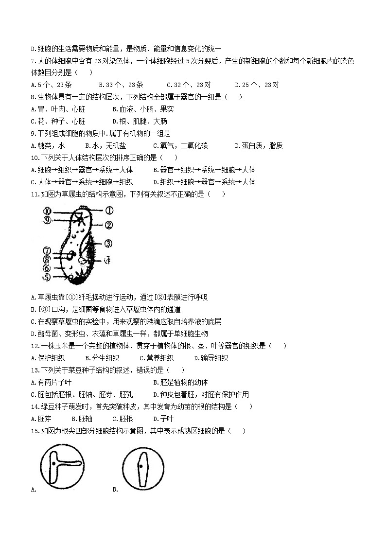 2023年黑龙江省龙东地区中考二模生物试题(含答案)第2页