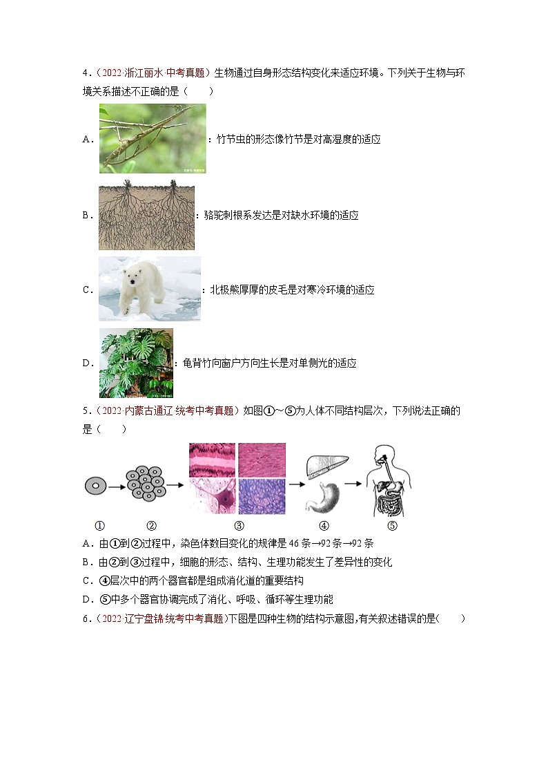 真题重组卷03-2023年中考生物真题汇编重组卷(青岛专用)(原卷版)第2页
