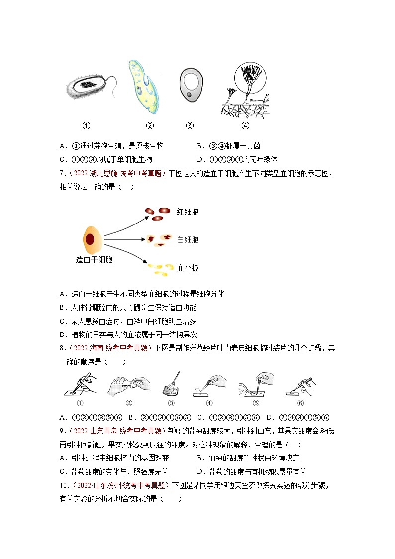真题重组卷03-2023年中考生物真题汇编重组卷(青岛专用)(原卷版)第3页