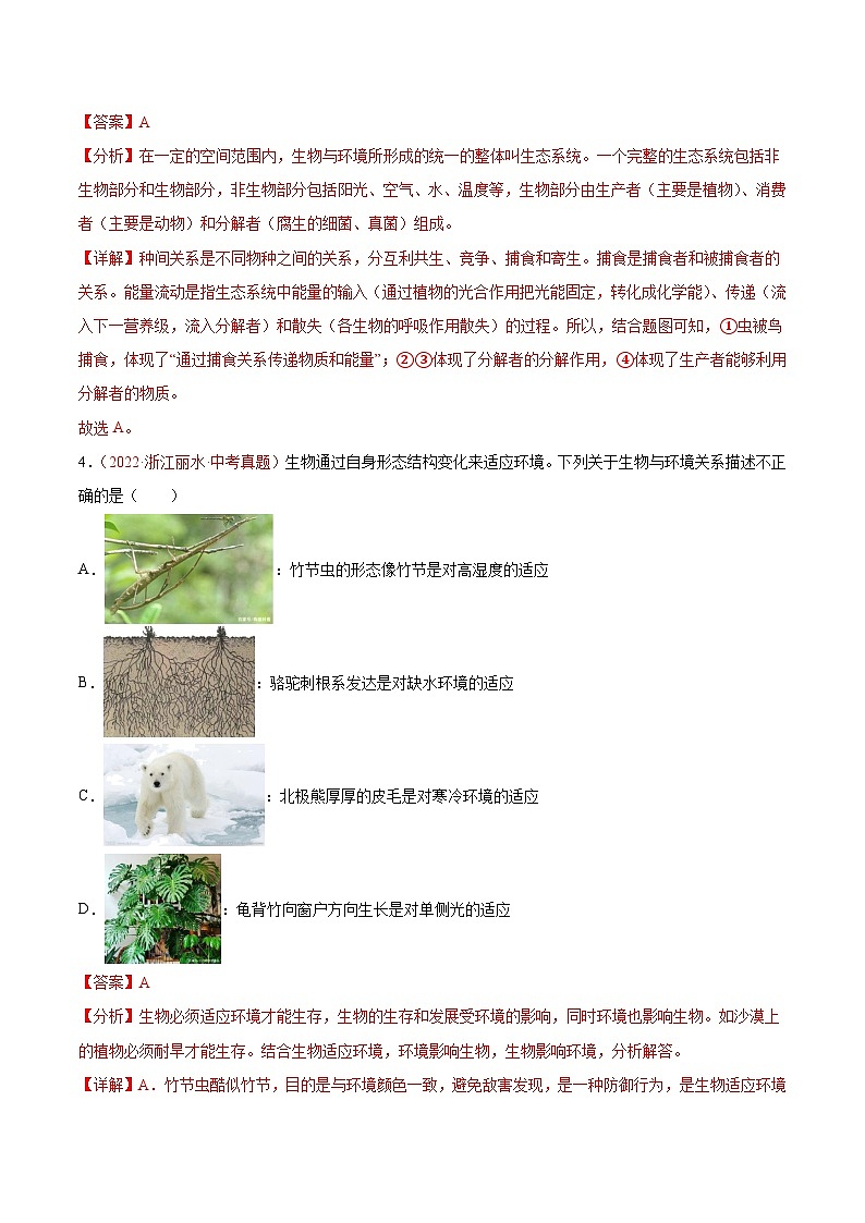 真题重组卷03-2023年中考生物真题汇编重组卷(青岛专用)(解析版)第3页