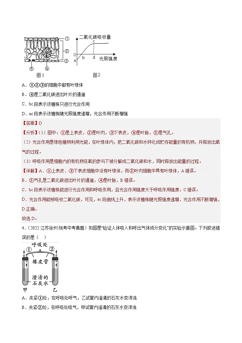 真题重组卷01(解析版)-2023年中考生物真题汇编重组卷(江苏徐州专用)第3页