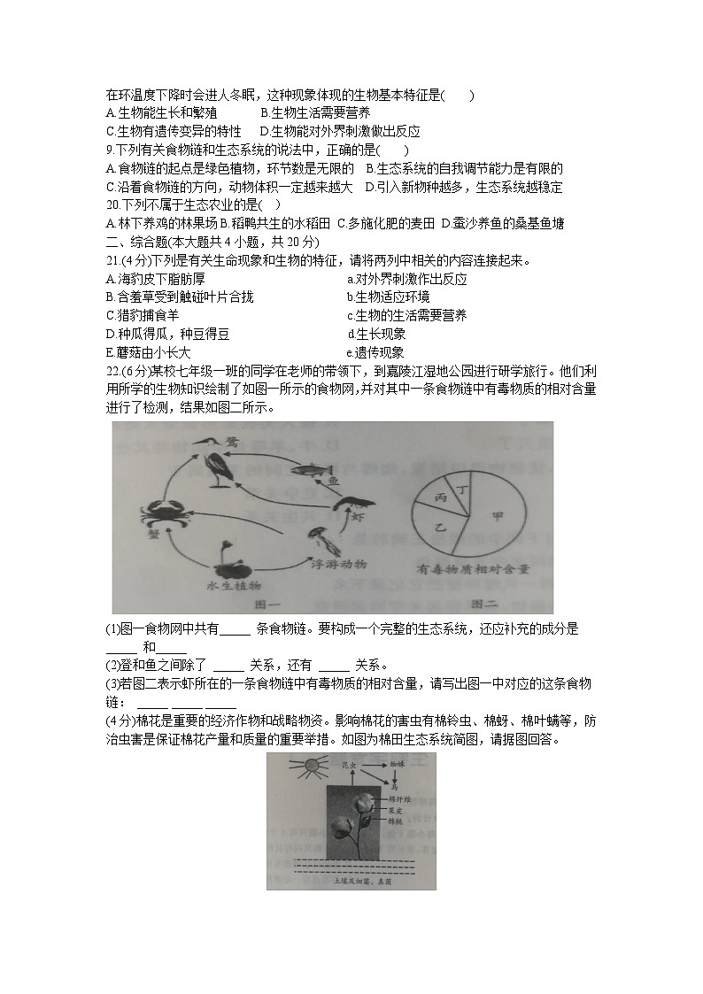 2023年初中生物中考专题复习卷(二)生物和环境(含答案)第3页