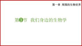 苏教版七年级上册第三节 我们身边的生物学说课课件ppt