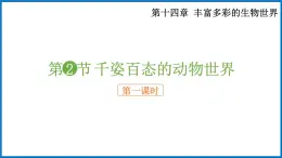 14.2.1 千姿百态的动物世界 （课件）苏教版生物八年级上册