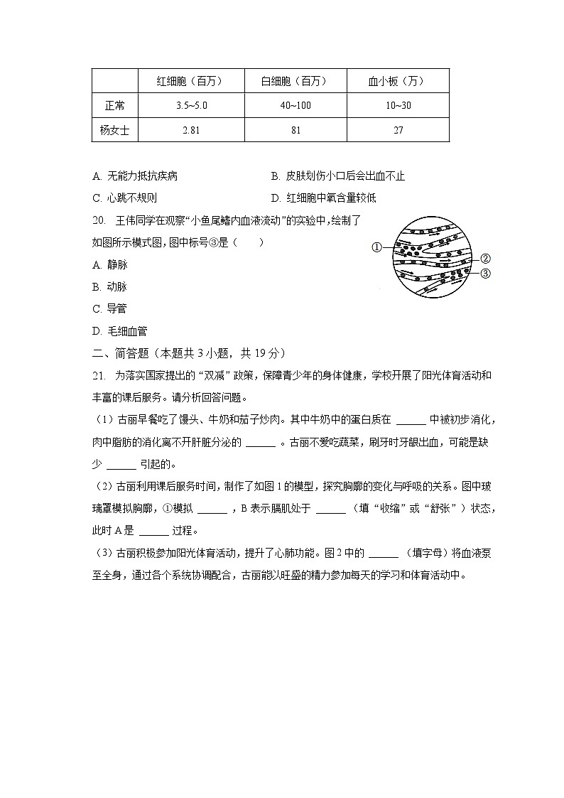 2022-2023学年吉林省四平市铁西区七年级(下)期中生物试卷(含解析)第3页