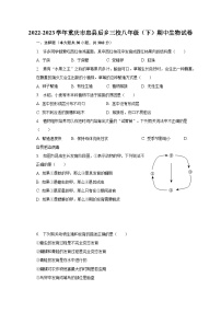 2022-2023学年重庆市忠县后乡三校八年级（下）期中生物试卷（含解析）