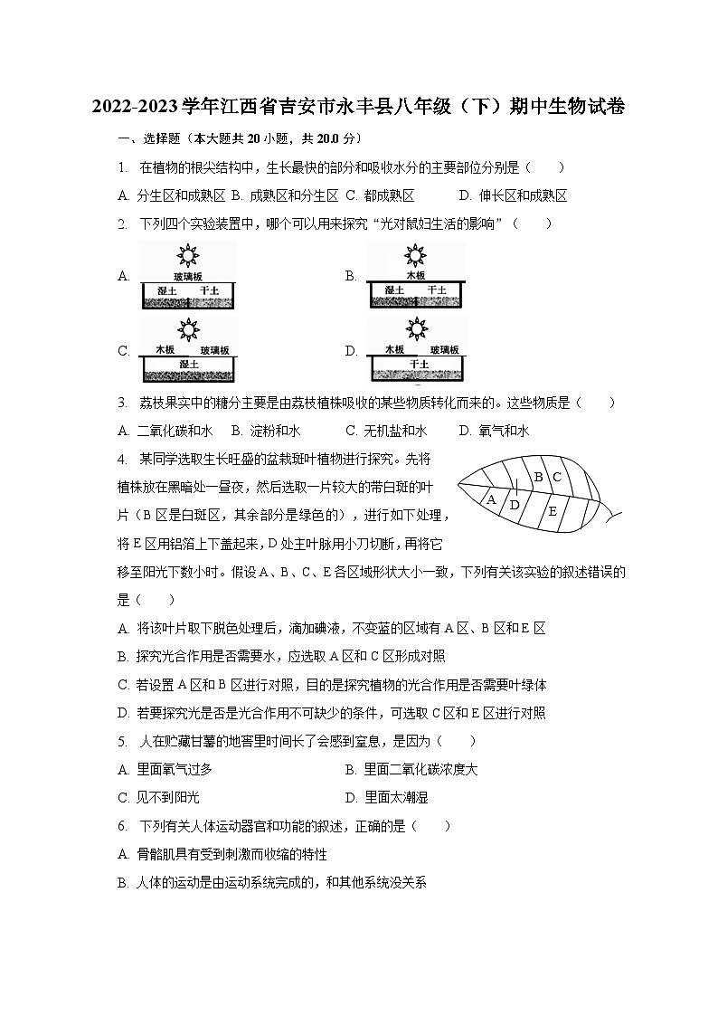 2022-2023学年江西省吉安市永丰县八年级(下)期中生物试卷(含解析)01