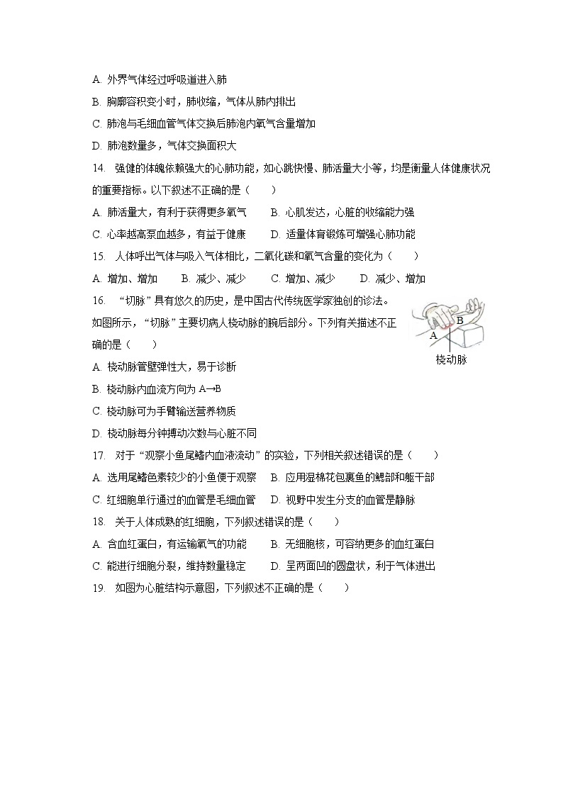 2022-2023学年北京二中教育集团七年级（下）期中生物试卷（含解析）03