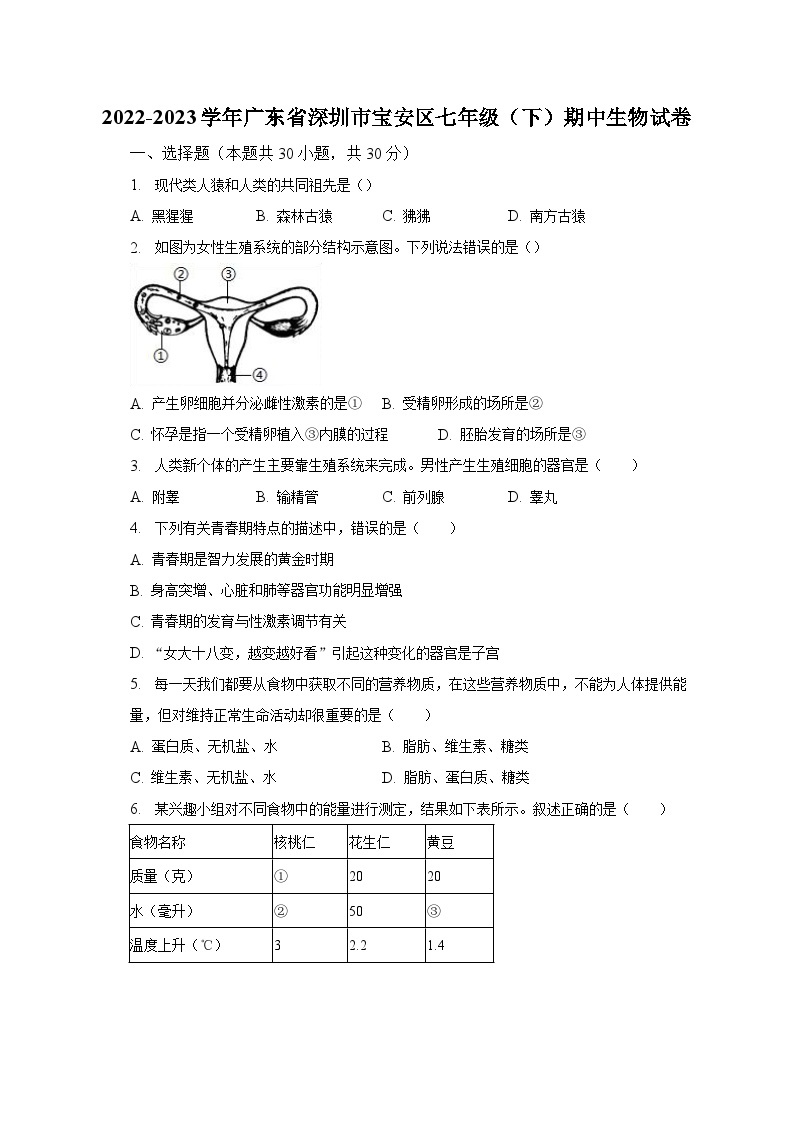 2022-2023学年广东省深圳市宝安区七年级（下）期中生物试卷（含解析）01