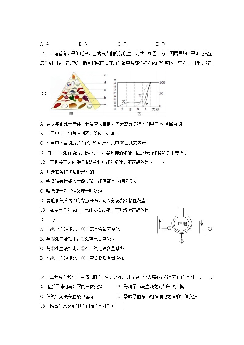 2022-2023学年广东省深圳市宝安区七年级（下）期中生物试卷（含解析）03