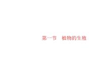 人教版 (新課標)八年級下冊第一節(jié)  植物的生殖圖文課件ppt