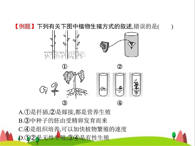人教版初中生物八年级下册第七单元第一章第一节植物的生殖练习课件06