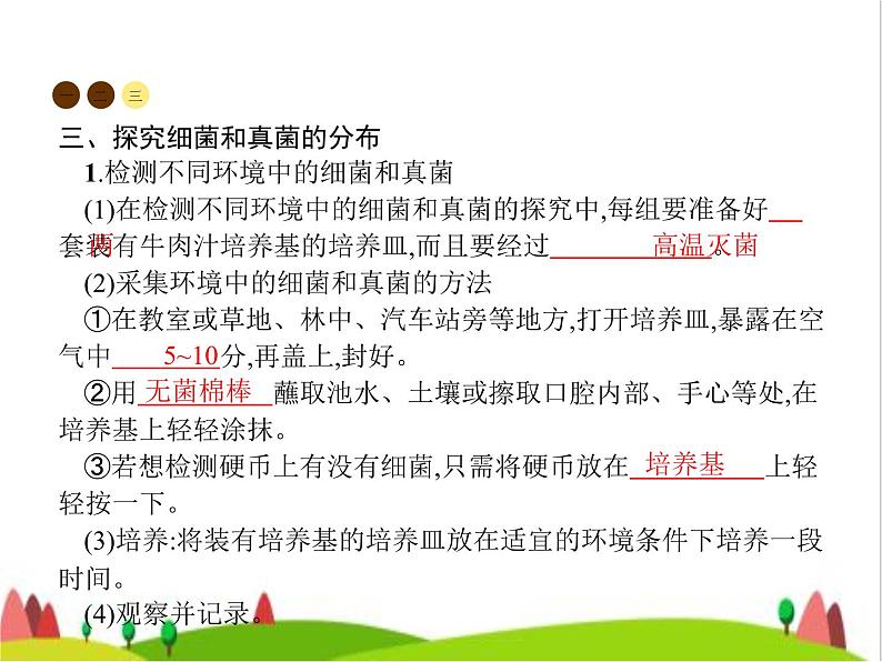 人教版初中生物八年级上册第5单元生物圈中的其他生物第4章第1节细菌和真菌的分布练习课件04