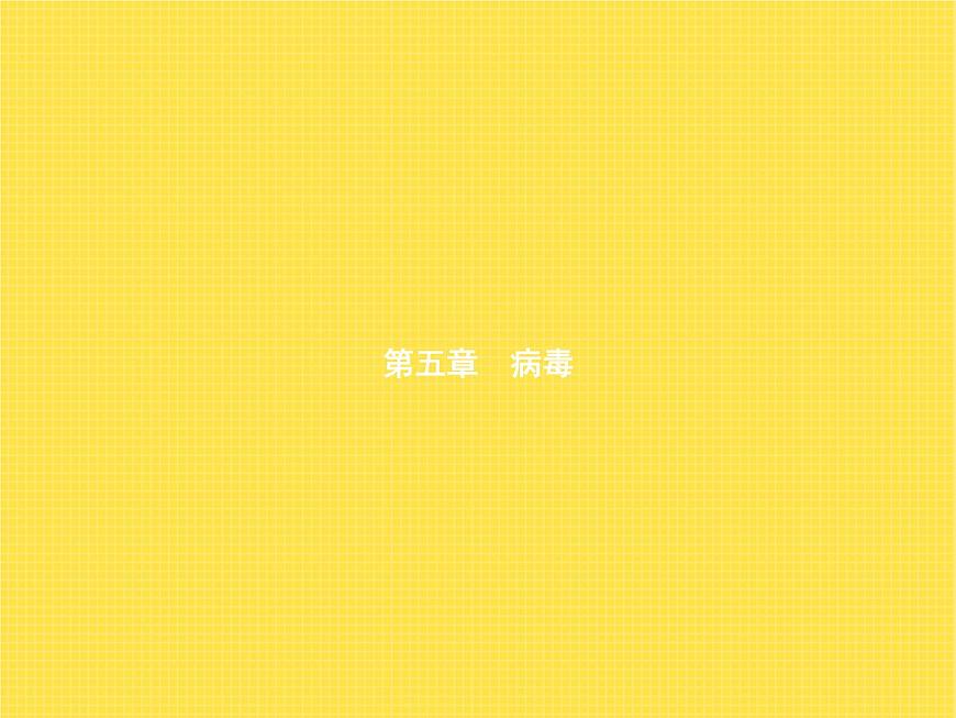 人教版初中生物八年級上冊第5單元生物圈中的其他生物第5章病毒練習(xí)課件第1頁