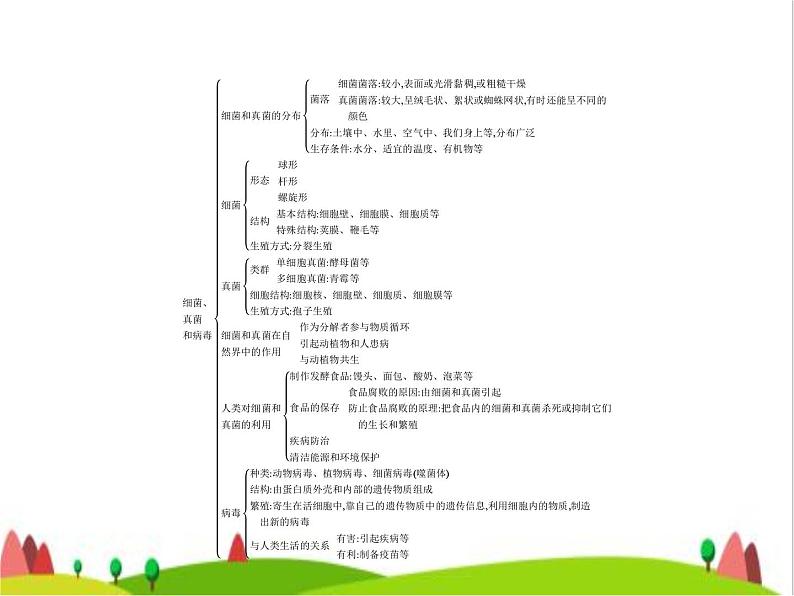 人教版初中生物八年级上册第5单元生物圈中的其他生物第四、五章整合练习课件02
