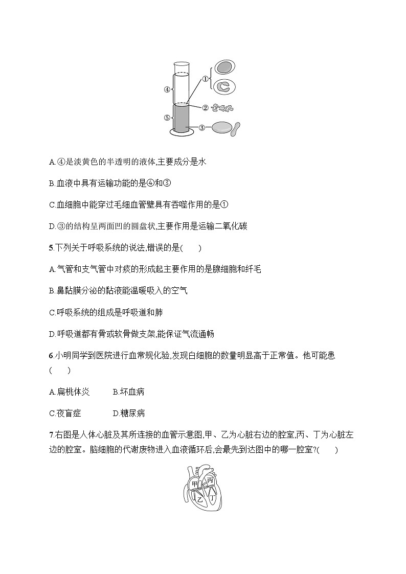 人教版初中生物七年级下册期末综合训练(二)含答案第2页