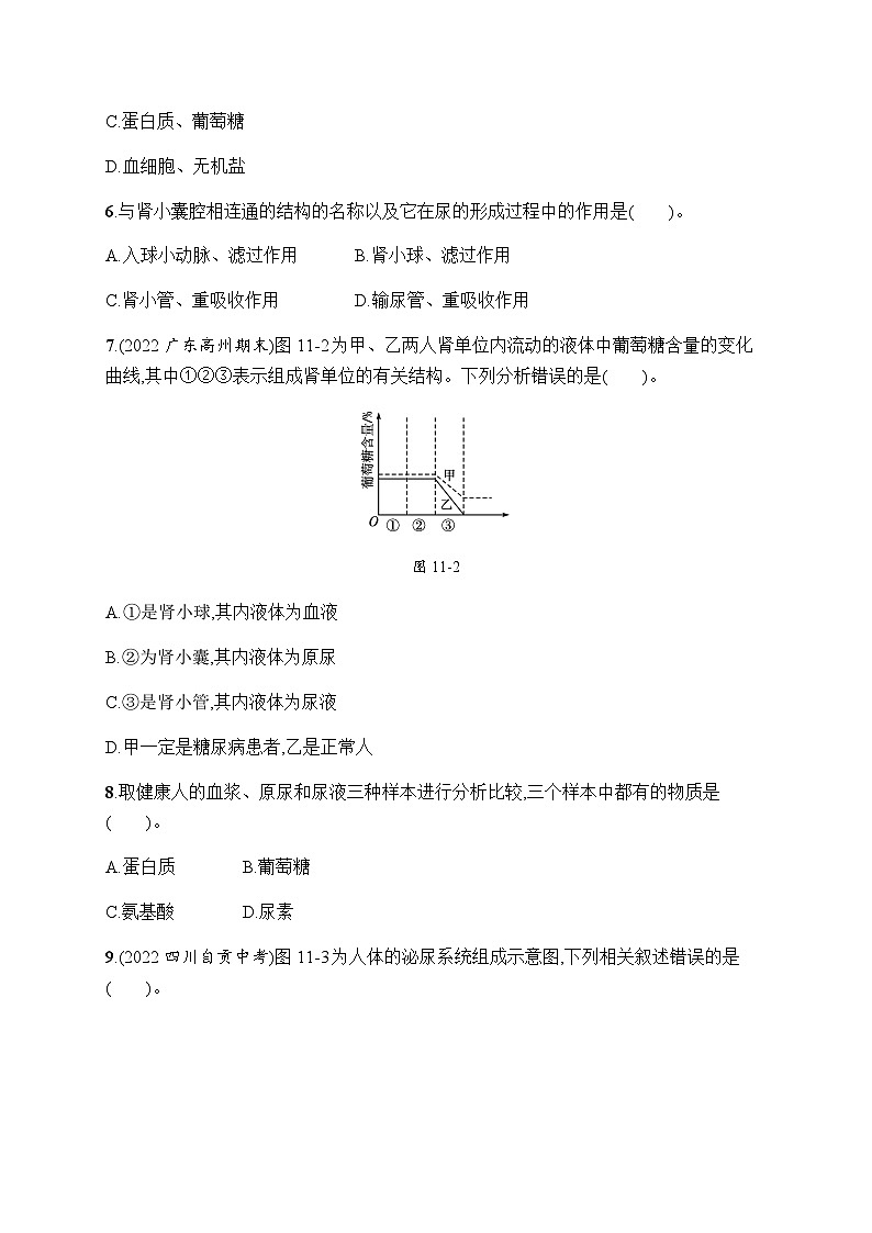 北师版初中生物七年级下册第11章人体代谢废物的排出测评含答案第2页