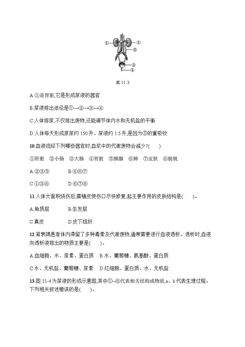 北师版初中生物七年级下册第11章人体代谢废物的排出测评含答案第3页
