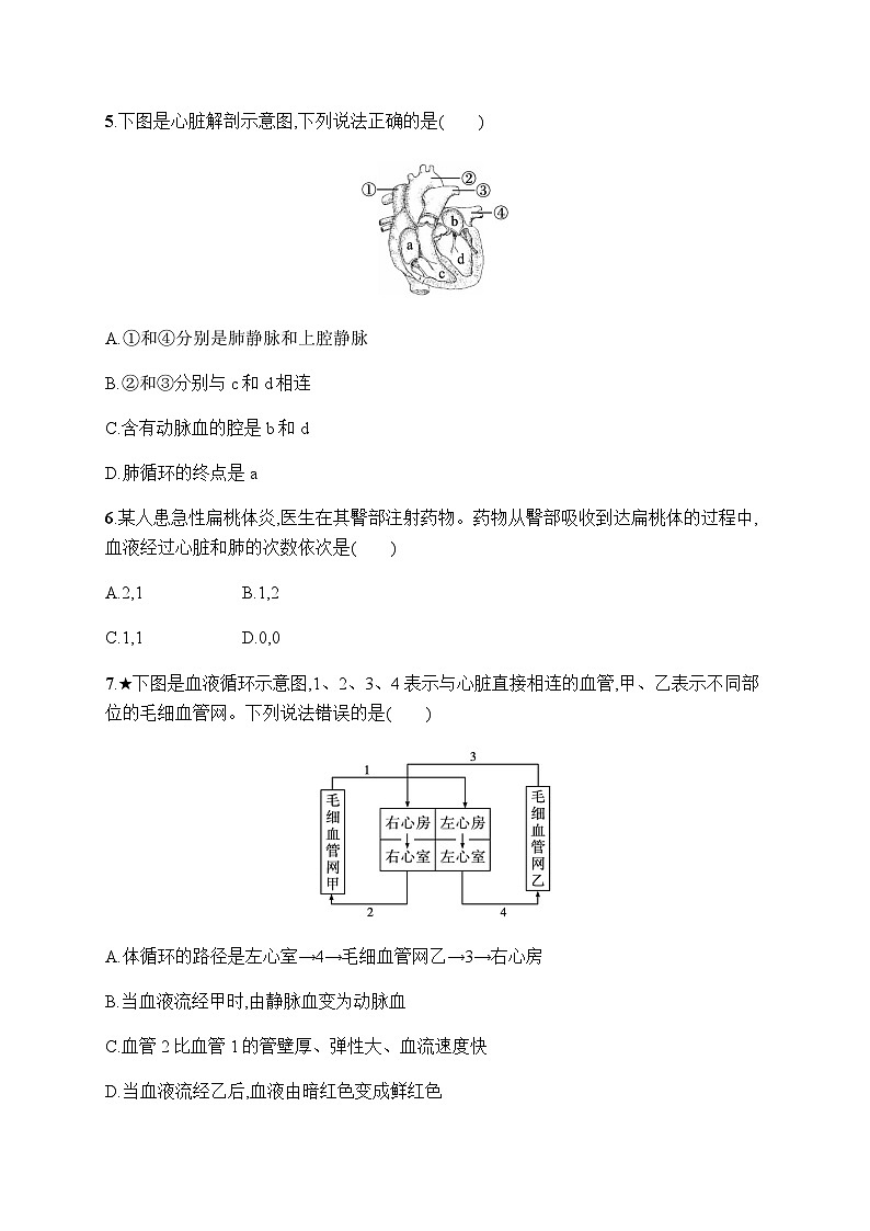 人教版(福建)初中生物七年级下册第四章第三节输送血液的泵——心脏练习含答案02