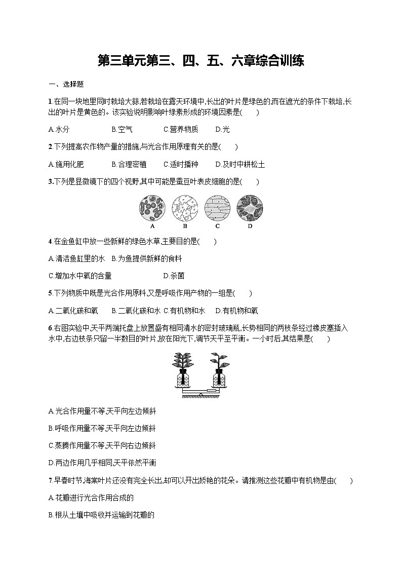 人教版初中生物七年级上册第三单元第三、四、五、六章综合训练含答案01
