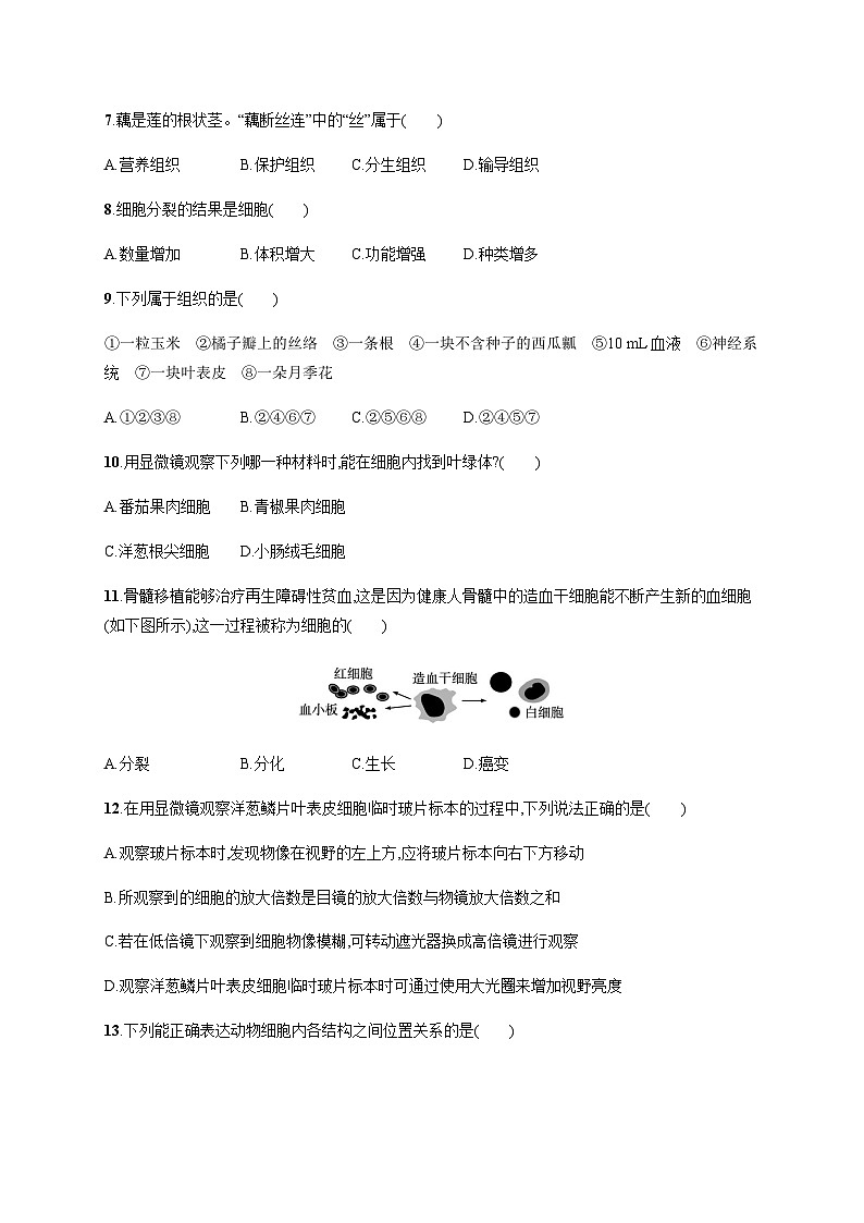 苏教版初中生物七年级上册第2单元测评含答案02