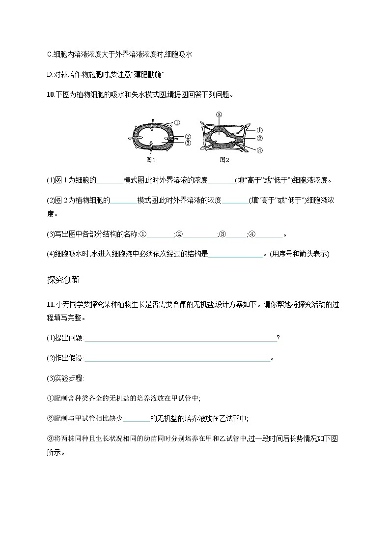 苏教版初中生物七年级上册第3单元第五章第三节植物生长需要水和无机盐练习含答案第3页