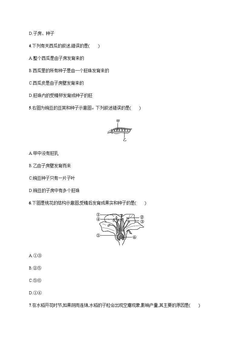 苏教版初中生物七年级上册第3单元第五章第五节植物的开花和结果练习含答案第2页