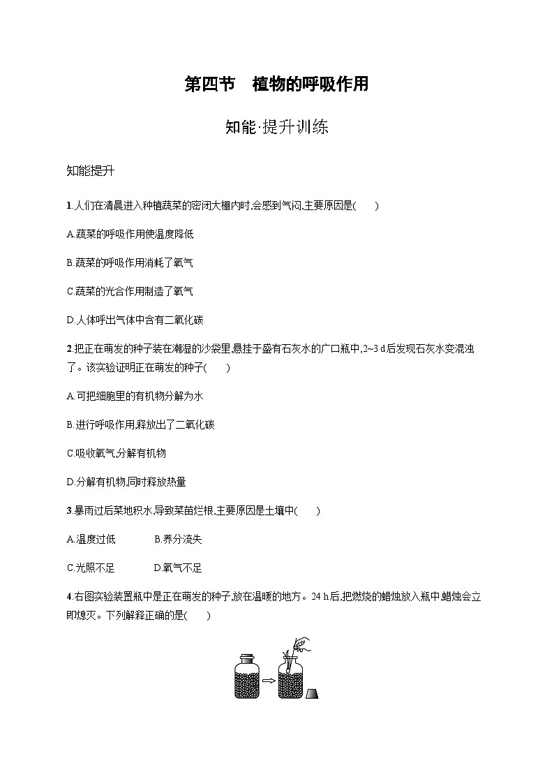 苏教版初中生物七年级上册第3单元第六章第四节植物的呼吸作用练习含答案01