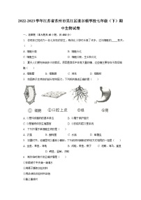 2022-2023学年江苏省苏州市吴江区道尔顿学校七年级（下）期中生物试卷（含解析）