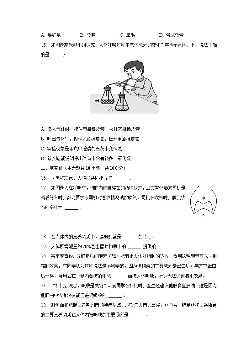 2022-2023学年湖北省荆州市公安县七年级(下)期中生物试卷(含解析)第3页