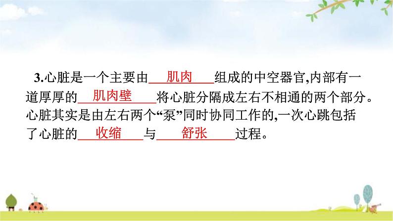 人教版初中生物七年级下册第4章人体内物质的运输第3节输送血液的泵——心脏练习课件第5页